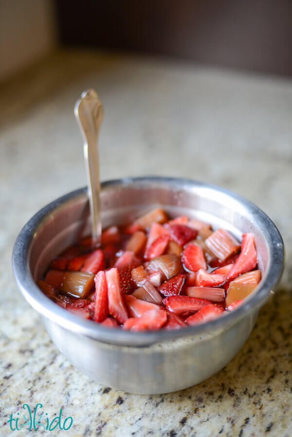 How to Make Vinegar and Fruit Shrub (Drinking Vinegar)